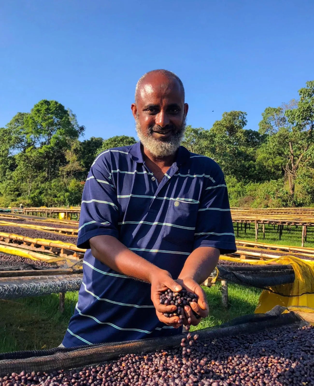 Ethiopië Mensur specialty coffee bonen van SIJL, vers gebrand in Assen